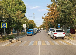 В Геническе двоих скутеристов увезли в больницу после столкновения с внедорожником