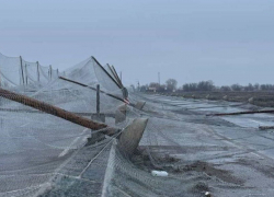 На участке трассы Николаев-Херсон рухнул антидроновый коридор