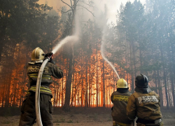 Херсонскую область охватили мощные пожары