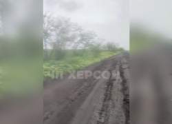Появилось видео, как автобус со школьниками застрял в грязи по дороге в херсонское село