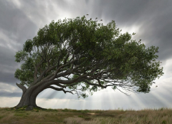 До 22 метров в секунду: в Херсонской области объявлено штормовое предупреждение
