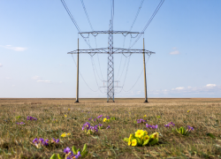 Тысячи жителей в восьми округах Херсонской области остались без света