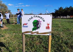 В память о херсонских бойцах появилась аллея 