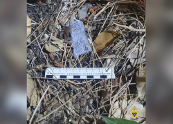 Житель Красноярского края пытался провезти тяжёлые наркотики на автобусе в Херсонщину