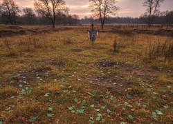 Херсонские полицейские спасли подорвавшегося на «лепестке» подростка