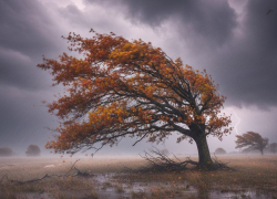 На Херсонщину обрушится ураганный ветер 17 ноября