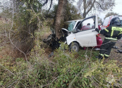 В Геническом округе микроавтобус намотало на дерево