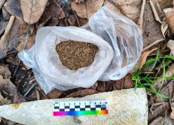 В Херсонской области мужчине грозит три года тюрьмы за хранение марихуаны