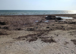 Забыт и заброшен: мэрия Скадовска объяснила загрязнение пляжа