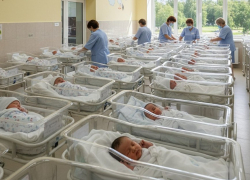 На Херсонщине за неделю появились на свет 15 малышей, включая двойню