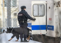 Задержанного ФСБ херсонца отправили в колонию за призывы к экстремизму