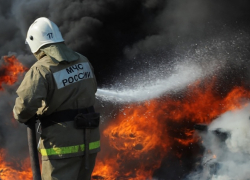 Более 100 га леса выгорело после ударов ВСУ по Херсонщине