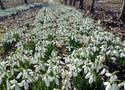Какая погода ждёт Херсонскую область в марте 