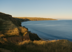 Власти рассказали, положены ли херсонцам компенсации за земельные паи на линии фронта