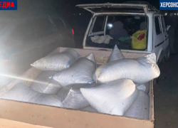 В Херсонской области задержали браконьеров с уловом креветок на 32,5 млн рублей