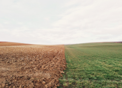 Фермеры на Херсонщине сами разминируют поля, пока власти говорят, что им это не нужно