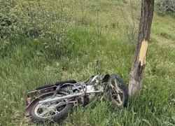 В Херсонской области мопедист врезался в дерево и погиб на месте аварии