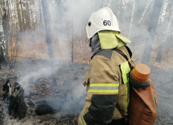Более 12 гектаров леса пострадали от огня в Херсонской области