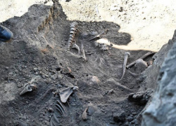 В Геническе нашли останки более 300 мирных жителей, расстрелянных в годы войны