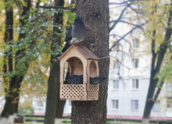 Сальдо даст мини-скидки бойцам СВО на дорогие квартиры в херсонских новостройках