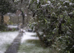 В Херсонской области 2 марта ожидается снегопад