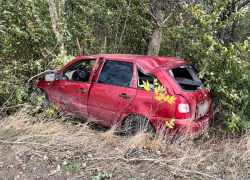 После столкновения с деревом в Скадовском округе водитель попал в больницу