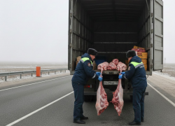 Восемь небезопасных баранов херсонец пытался провезти в Крым 