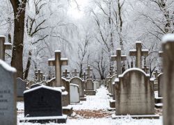 Правобережье Херсонской области вымирает