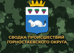 В Горностаевском округе Украина ранила 76-летнего старика