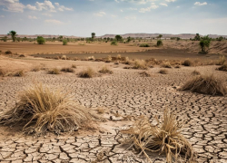 Херсонцы заявили об уничтожении системы мелиорации региона: ответ властей удивил