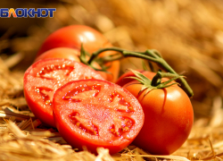 Урожай томатов снизился на 30% в Херсонской области