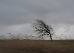 Херсонскую область вплоть до 19 февраля накроет ледяной шторм с сильным ветром 