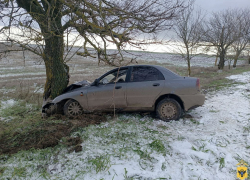 На Херсонщине иномарка врезалась в дерево, пострадали два человека