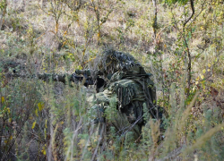 Новости СВО: ликвидация «девушки Зеленского» и тяжелые бои для ВС РФ в Херсоне