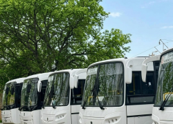 8 километров пешком: в Минтрансе ответили, почему единственный автобус в Стрелковое не доезжает до конца села