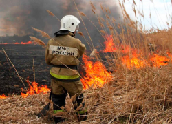 МЧС предупредило о наивысшем классе пожароопасности в 11 округах Херсонской области
