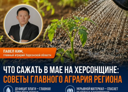 Майский фронт: как спасти урожай в херсонскую жару?