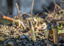 Жители Херсона поголовно готовы отдать Донбасс России ради мира