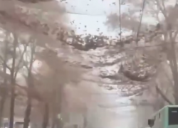 Жители Херсона показали на видео опутавшую город антидроновую паутину