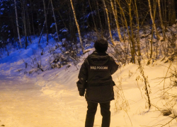 Пять полицейских погибли при ударе ВСУ в Херсонской области