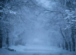 На Херсонскую область обрушится сильная метель