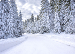 Херсонщина в ожидании зимнего чуда: прогноз погоды на 28 февраля