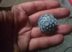 В Херсонской области ВСУ начали применять новые западные мины «шишки»