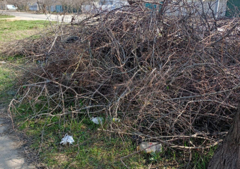 В Геническе после жалоб горожан власти ликвидировали стихийную свалку