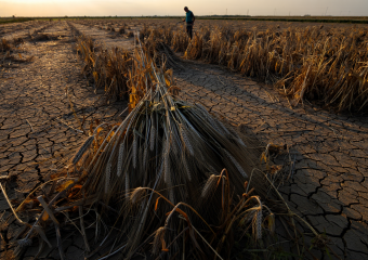 Стало известно, какой ущерб понесли аграрии Херсонщины за сезон 2024-2025 годов