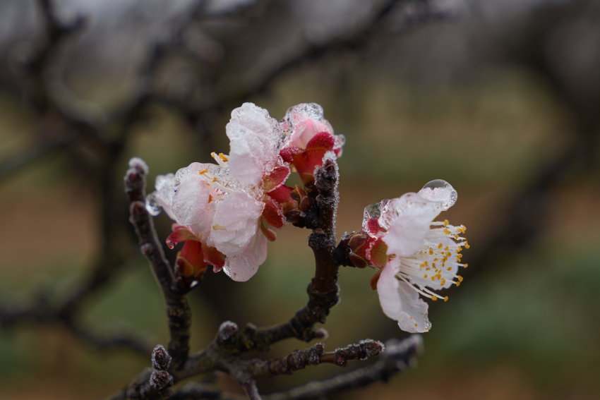 Херсонщину ждут шторм и ночные заморозки до -3 градусов