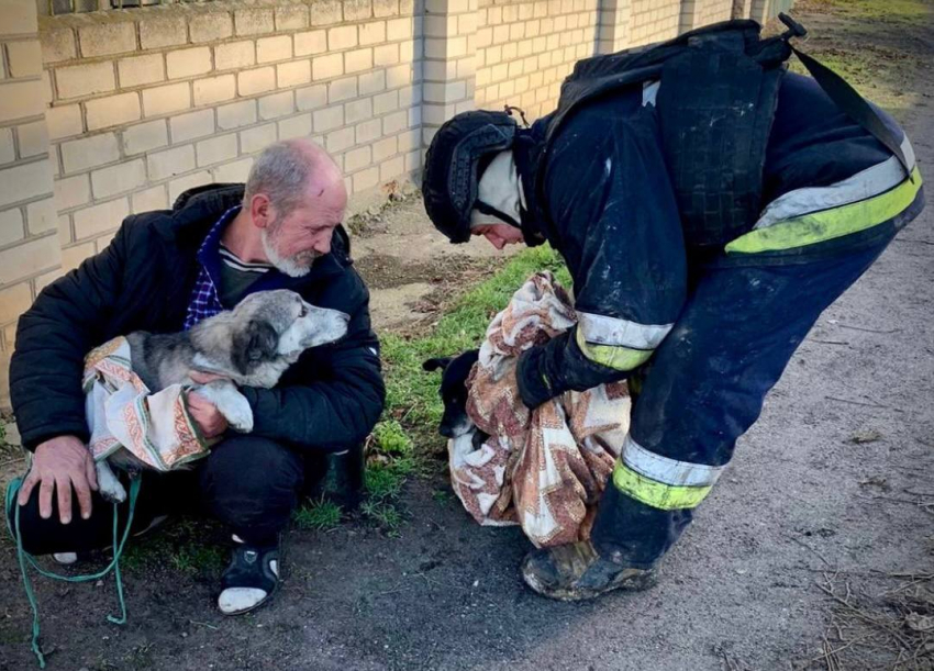 В Херсоне пожарные спасли из огня двух собак