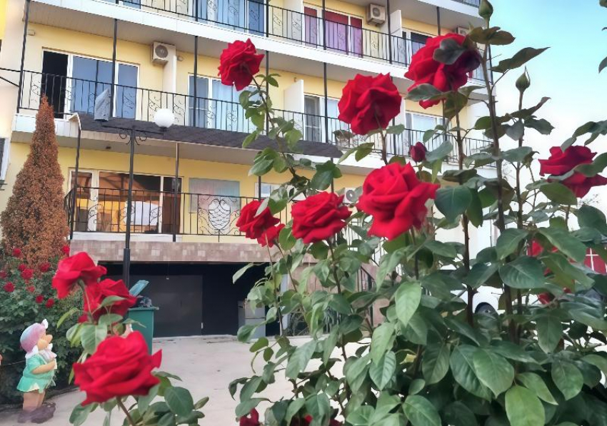 Роскошный пансионат с розами и бассейном на Арабатской стрелке продают за 160 млн