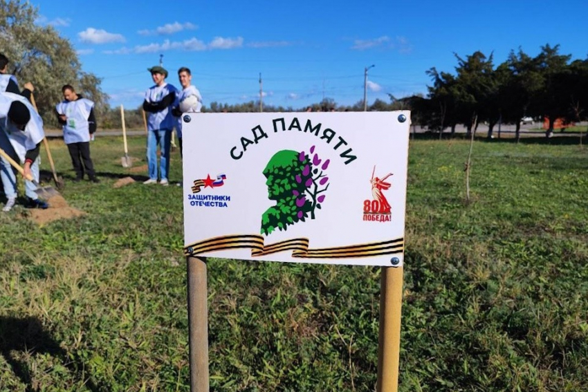 В память о херсонских бойцах появилась аллея 