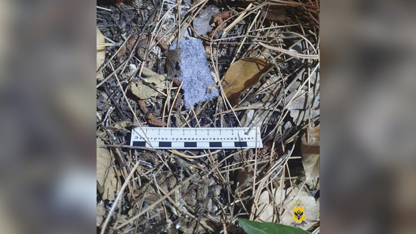 Житель Красноярского края пытался провезти тяжёлые наркотики на автобусе в Херсонщину